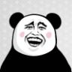BIAO on SOLLOGO